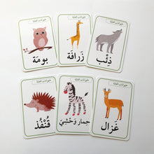 Flash Cards Animals, Fruits and Vegetables - بطاقات الحيوانات، الفواكه، والخضار
