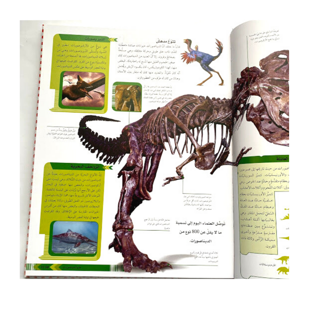 Dinosaur - Augmented Reality - الديناصور - بتقنية الواقع المعزز
